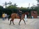 2008_Picnic_01
