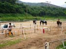 2008_Picnic_06
