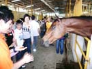 2008_Picnic_17