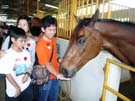 2008_Picnic_18