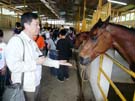 2008_Picnic_19