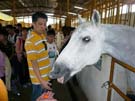 2008_Picnic_21