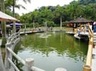2008_Picnic_48