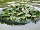 2008_Picnic_55