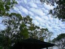 picnic08_40