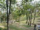 picnic08_50