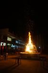 dsc06519.jpg