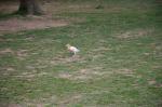 dsc_6047.jpg