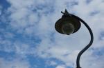 dsc05844.jpg