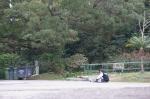 dsc05920.jpg