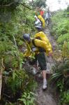 dsc00182.jpg