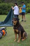 dsc00604.jpg