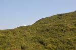 20120317.XVHK.Hike.12.jpg