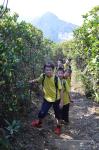 20120317.XVHK.Hike.15.jpg