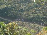 20120317.XVHK.Hike.26.jpg
