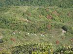 20120317.XVHK.Hike.34.jpg