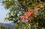 20120317.XVHK.Hike.59.jpg