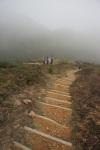 dsc01765.jpg