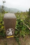 dsc01777.jpg