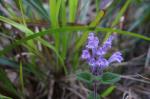 dsc01821.jpg