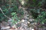 dsc04973.jpg
