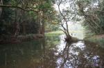 dsc05057.jpg