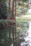 dsc05061.jpg
