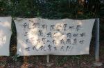 dsc05103.jpg