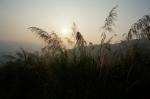 dsc05110.jpg