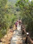 20110313.021.IslandScoutTrailWalk.jpg