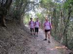 20110313.024.IslandScoutTrailWalk.jpg