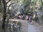 20110313.025.IslandScoutTrailWalk.jpg