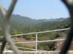20110313.048.IslandScoutTrailWalk.jpg