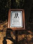 20110313.049.IslandScoutTrailWalk.jpg