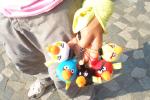 20110313.112.IslandScoutTrailWalk.jpg