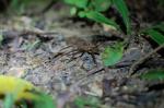 dsc_5725.jpg