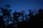 dsc_5790.jpg