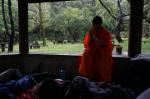 dsc00084.jpg