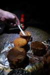 dsc04684.jpg